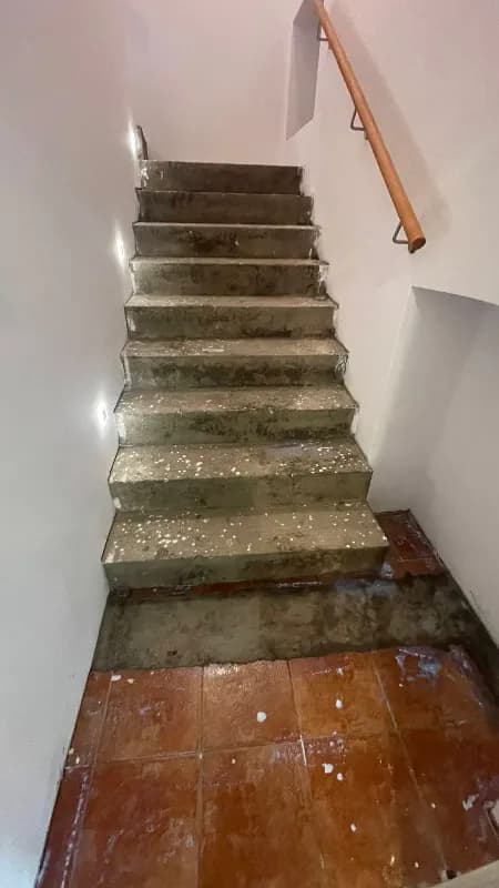 5schody winylowe i podłoga ten sam kolor